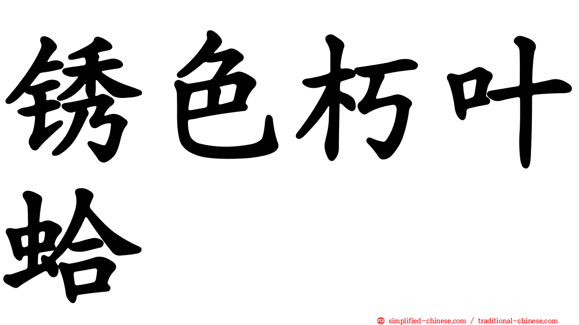 锈色朽叶蛤