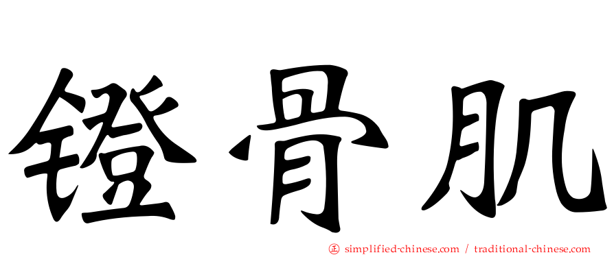 镫骨肌