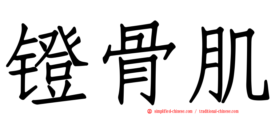 镫骨肌