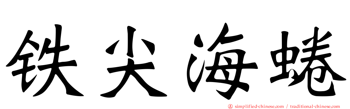铁尖海蜷