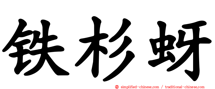 铁杉蚜