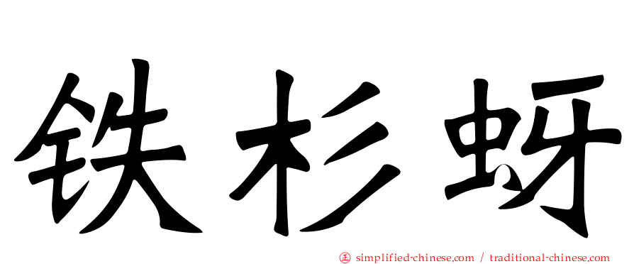 铁杉蚜