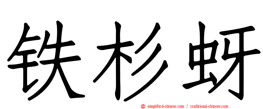 铁杉蚜
