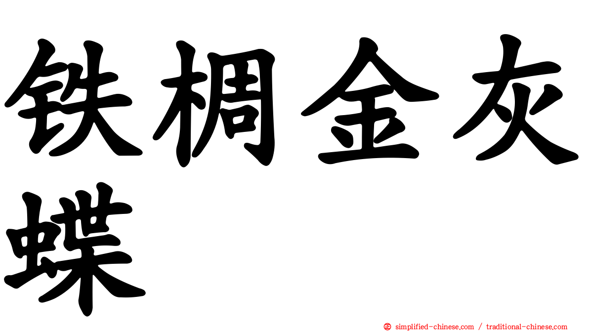 铁椆金灰蝶