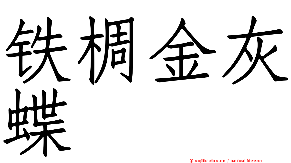 铁椆金灰蝶