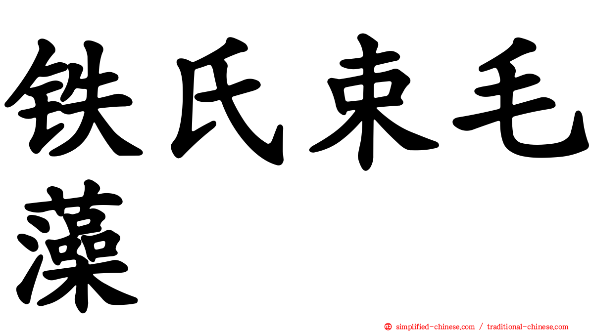 铁氏束毛藻