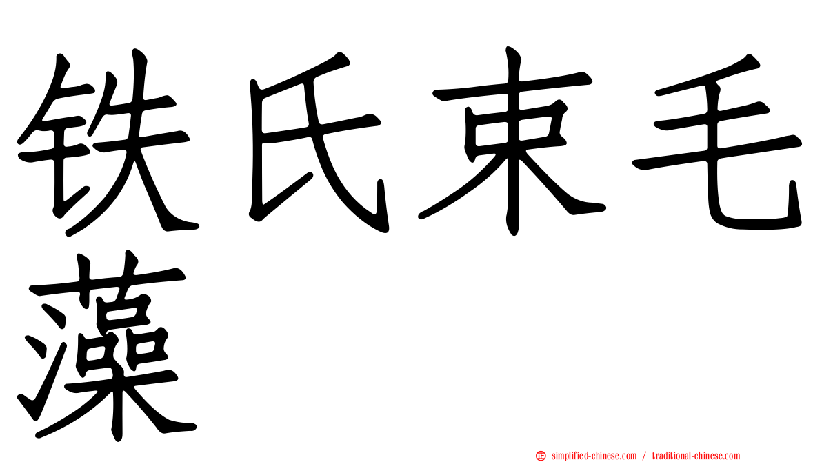 铁氏束毛藻