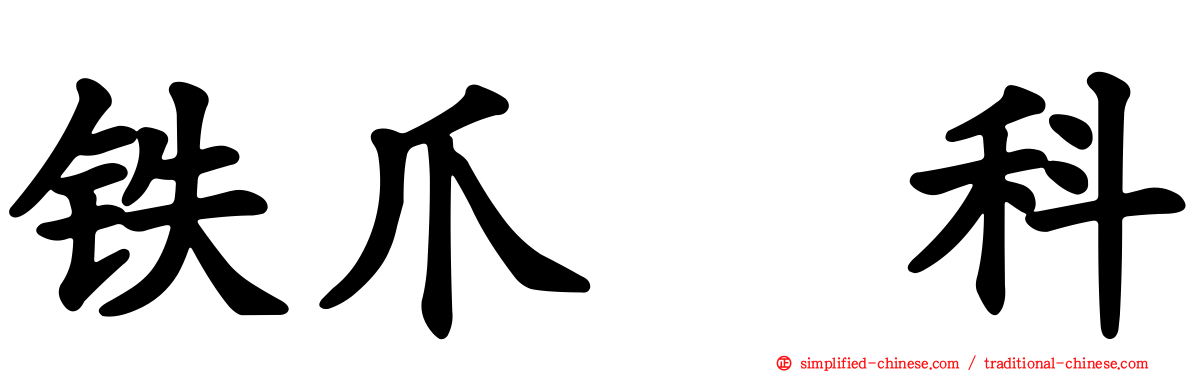 铁爪鹀科