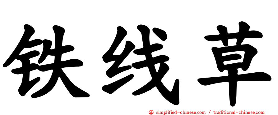 铁线草