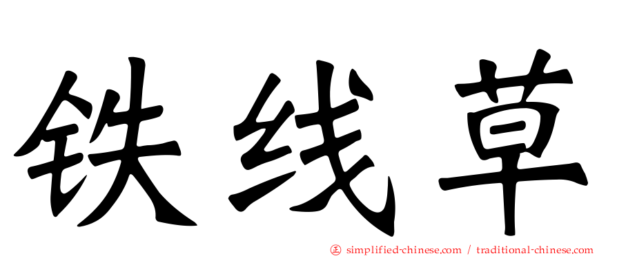铁线草