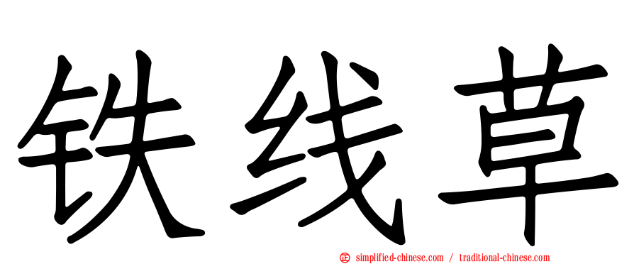 铁线草
