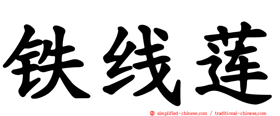 铁线莲