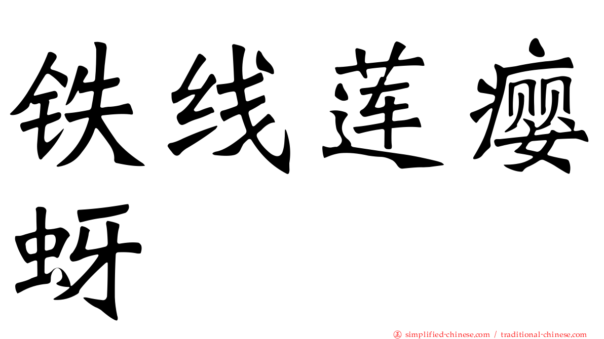 铁线莲瘿蚜