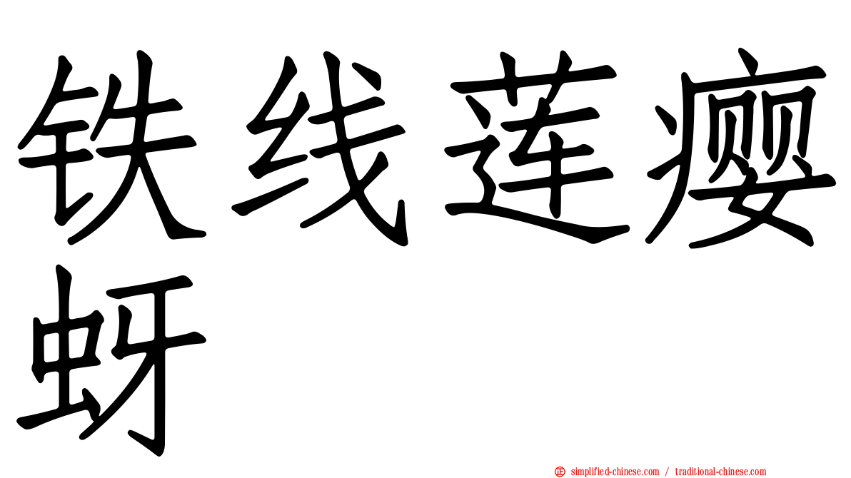 铁线莲瘿蚜