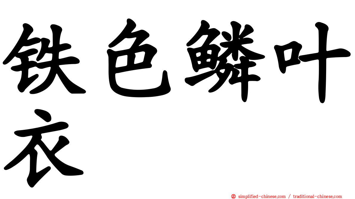 铁色鳞叶衣