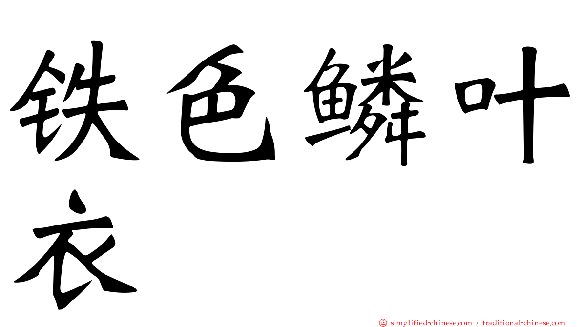 铁色鳞叶衣