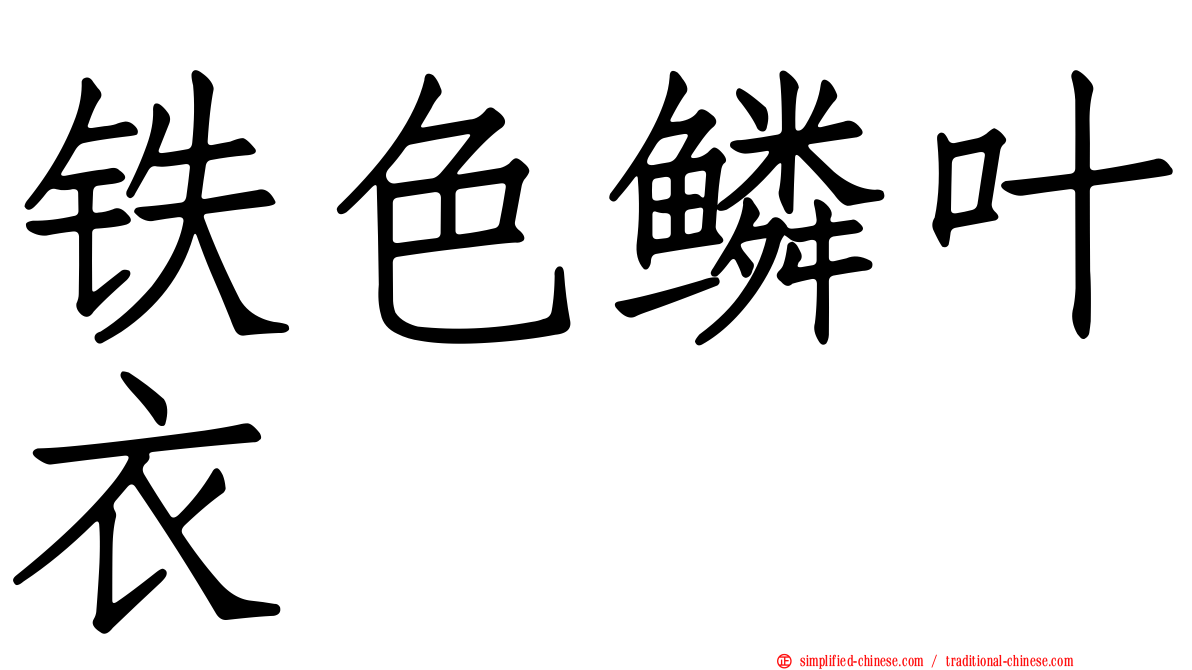 铁色鳞叶衣