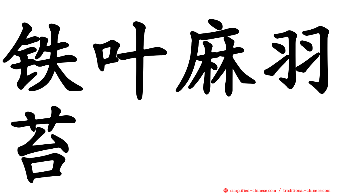 铁叶麻羽苔