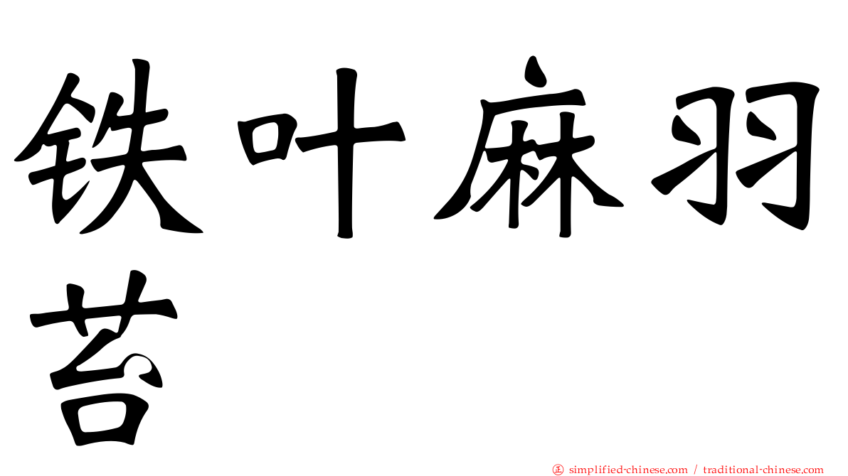 铁叶麻羽苔