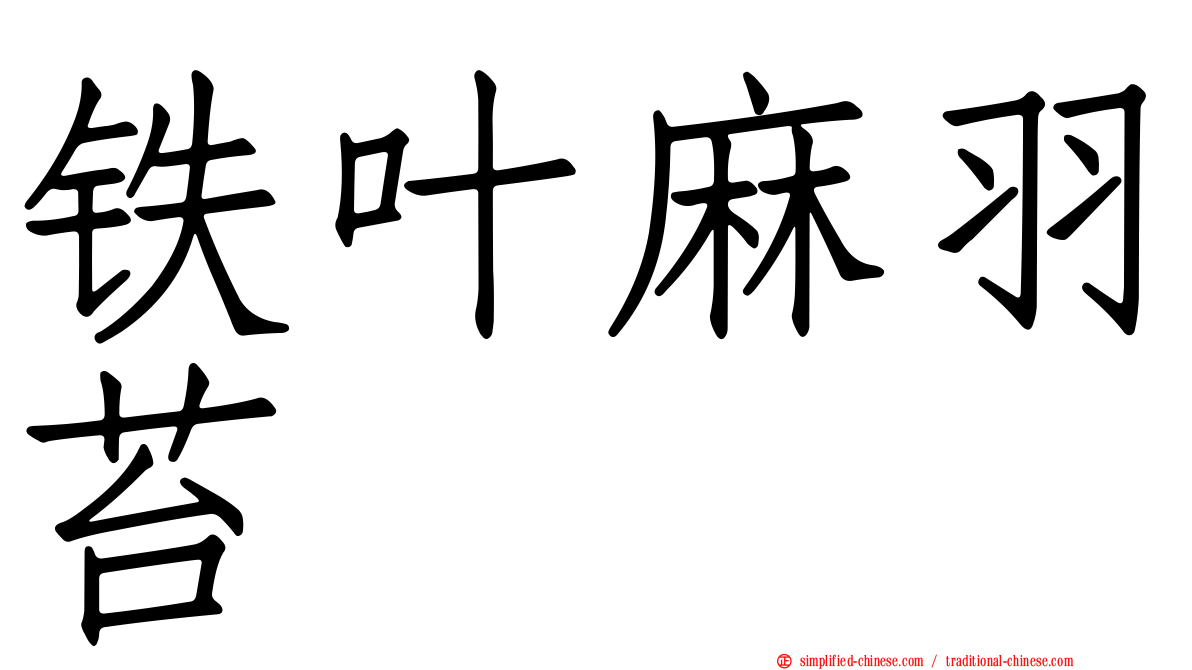铁叶麻羽苔