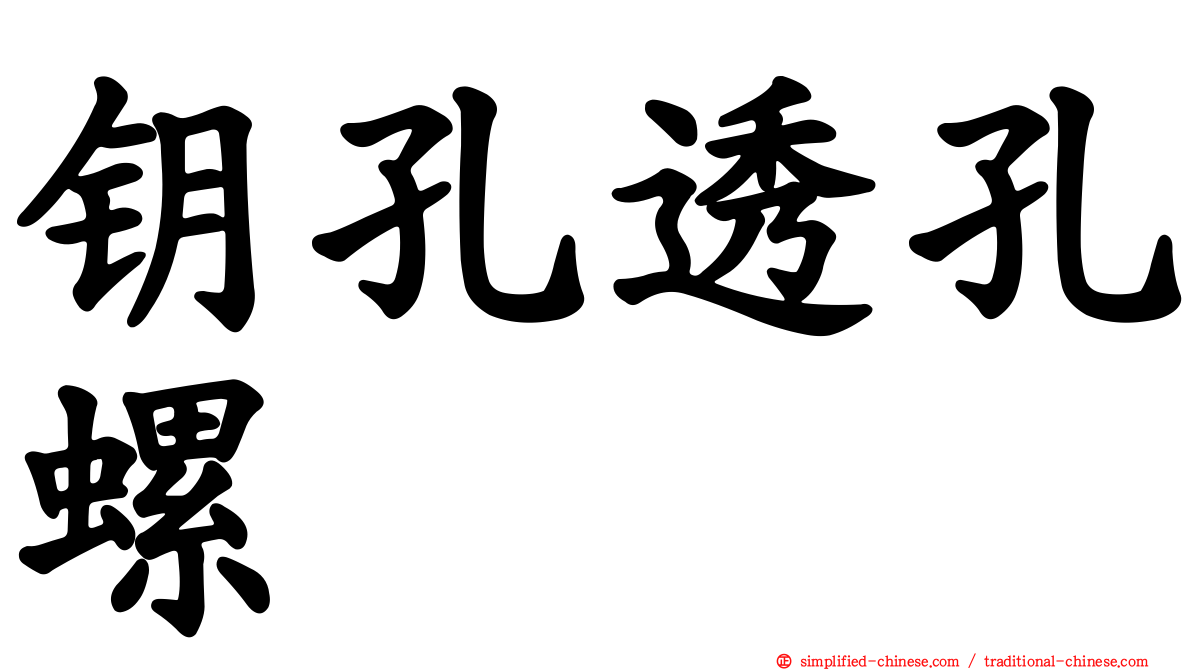钥孔透孔螺