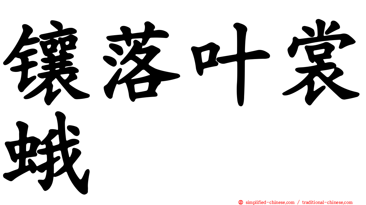 镶落叶裳蛾