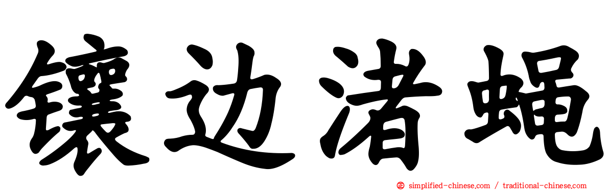 镶边渚蝇