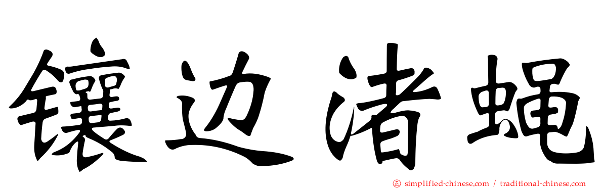 镶边渚蝇