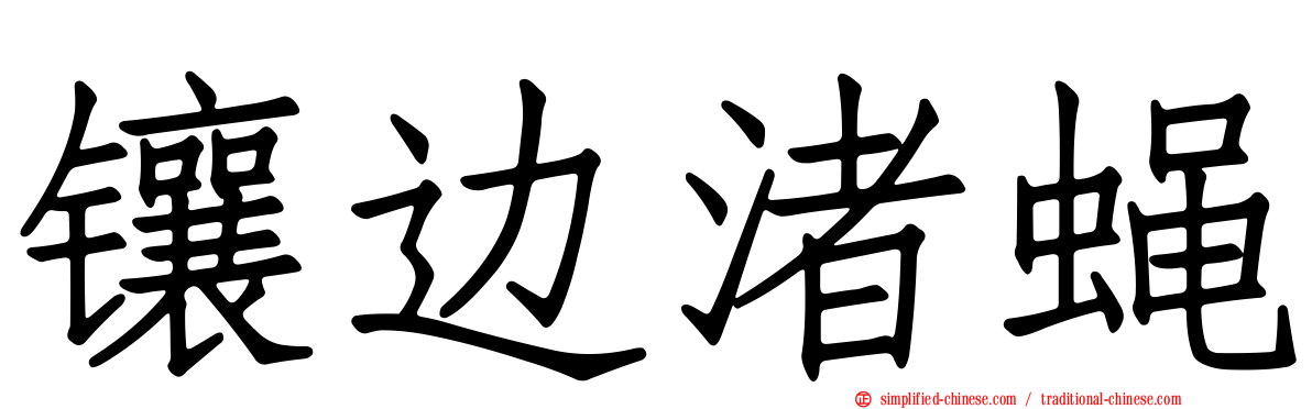 镶边渚蝇