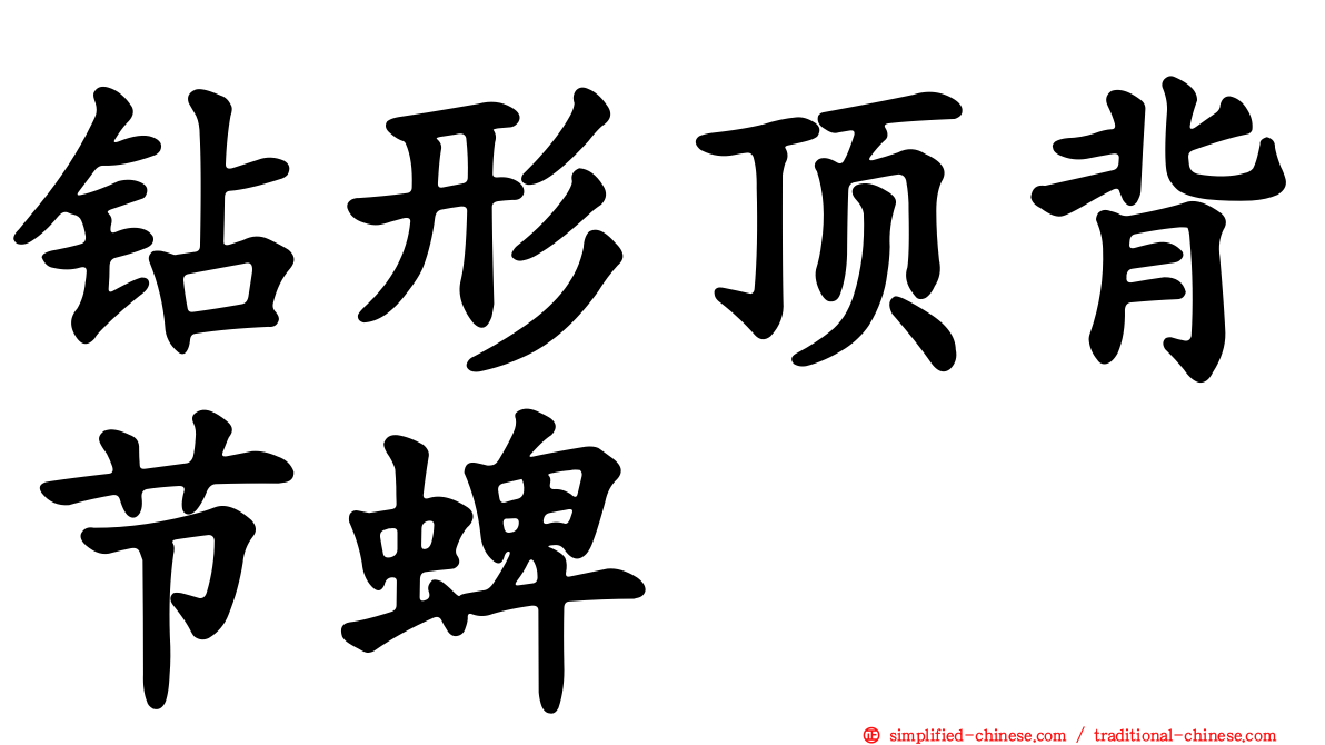 钻形顶背节蜱