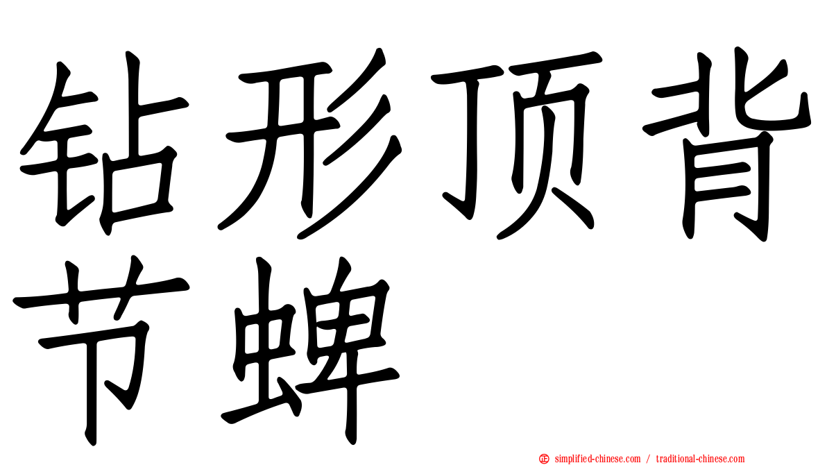 钻形顶背节蜱