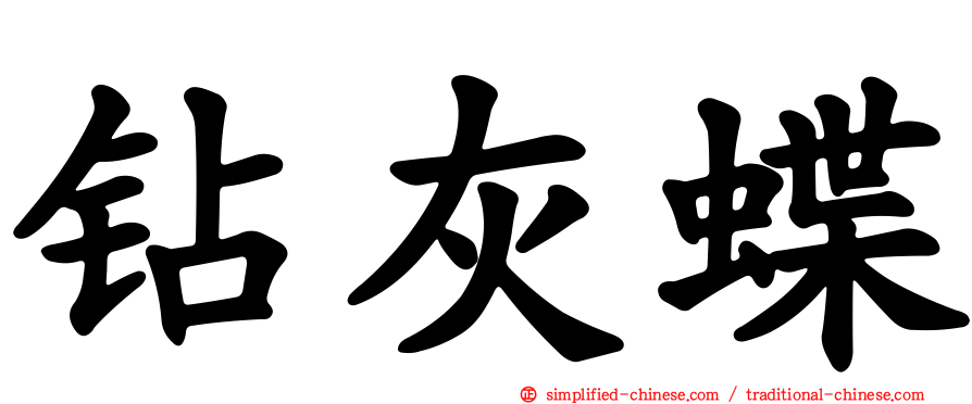 钻灰蝶