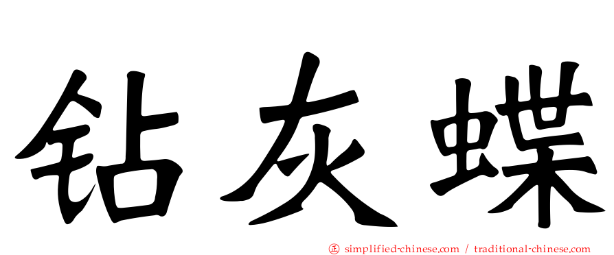 钻灰蝶