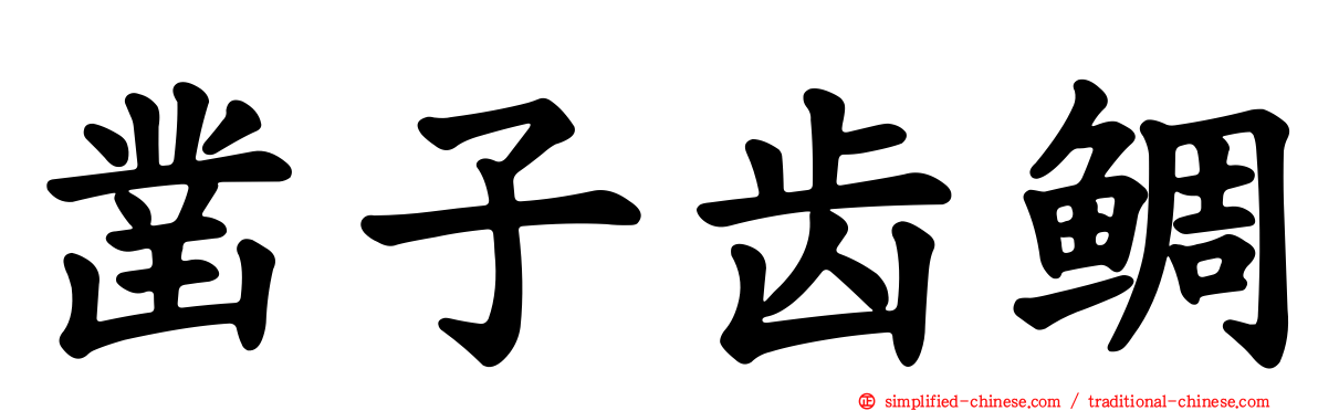 凿子齿鲷