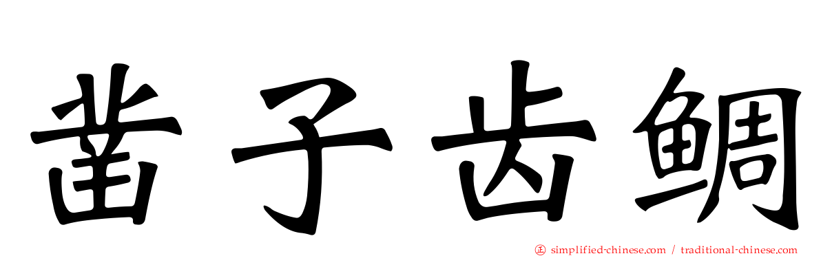 凿子齿鲷