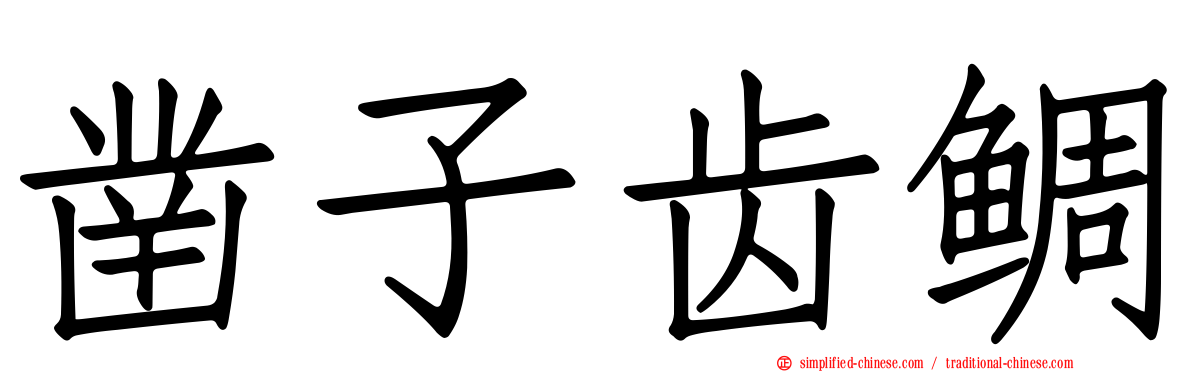 凿子齿鲷