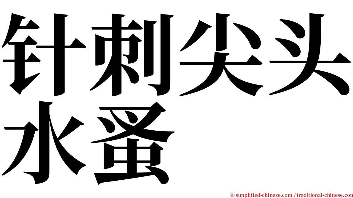 针刺尖头水蚤 serif font