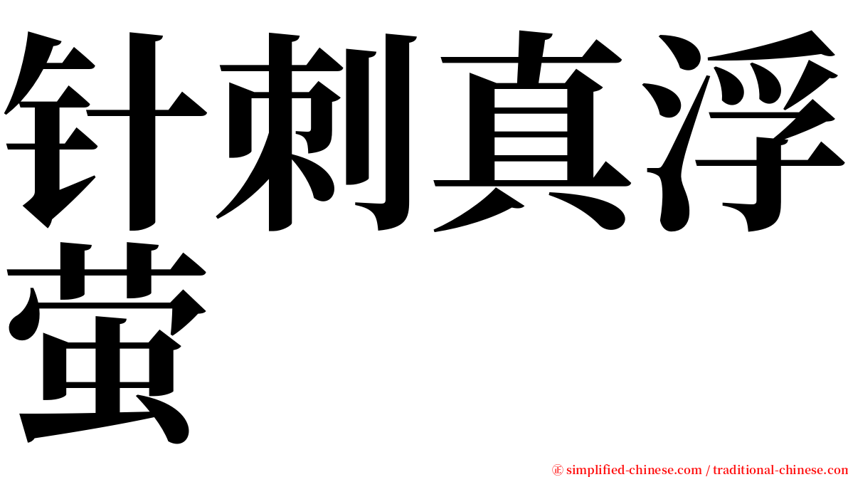 针刺真浮萤 serif font