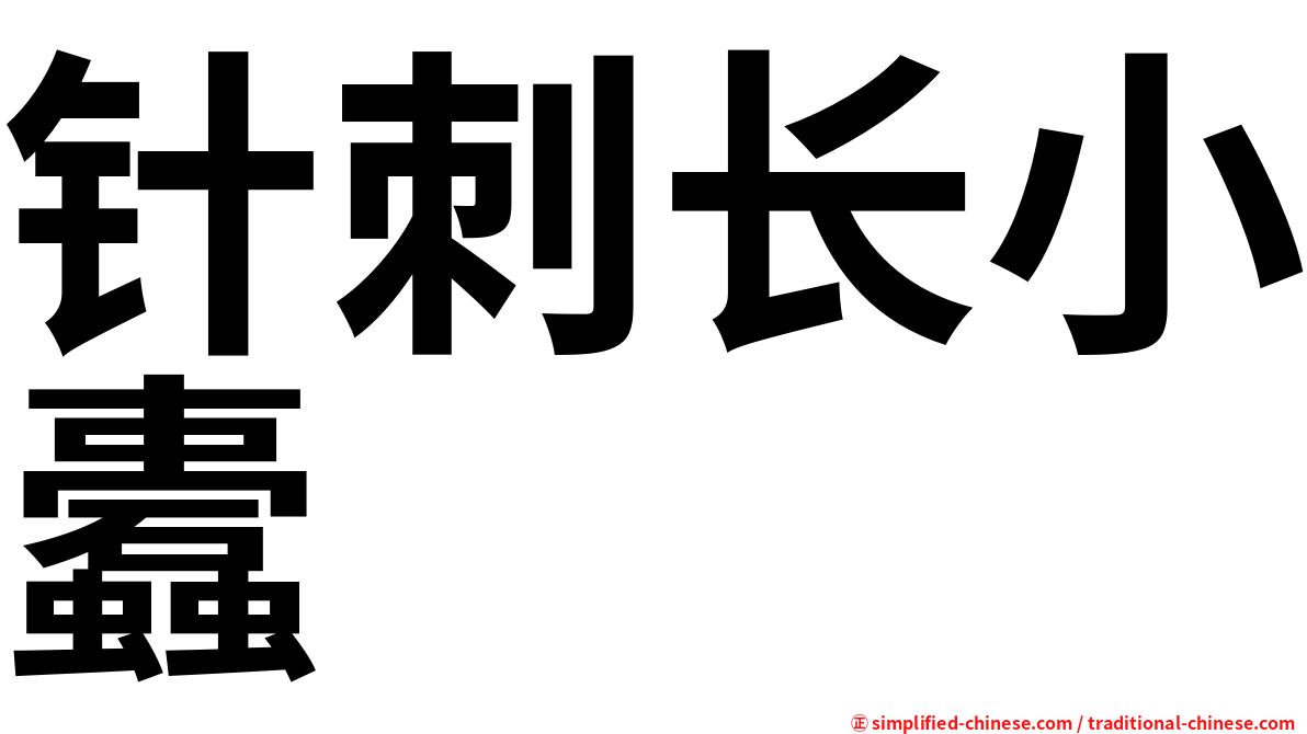 针刺长小蠹