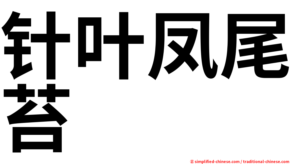 针叶凤尾苔
