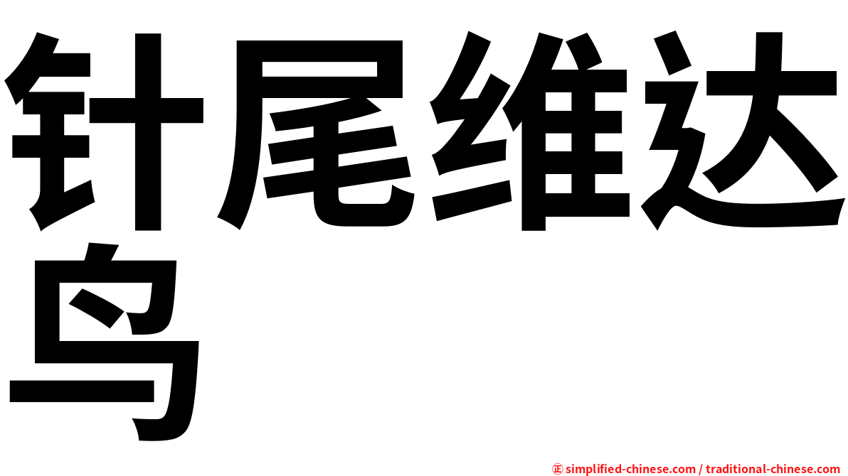 针尾维达鸟