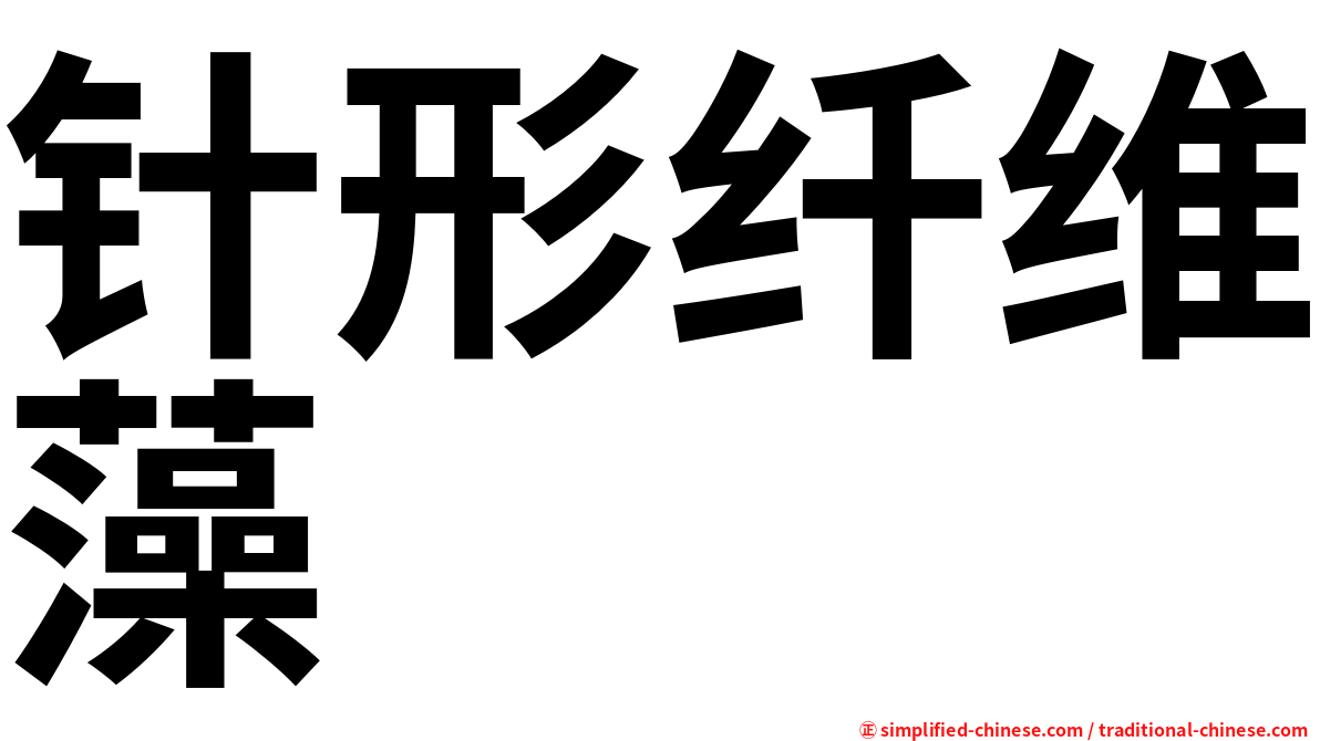 针形纤维藻