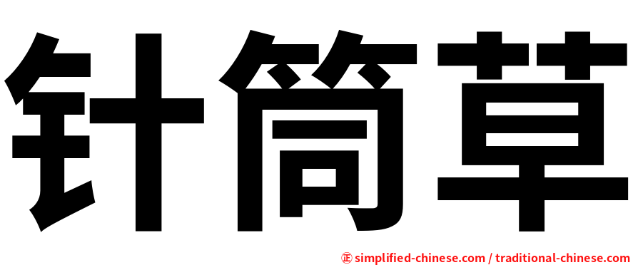 针筒草