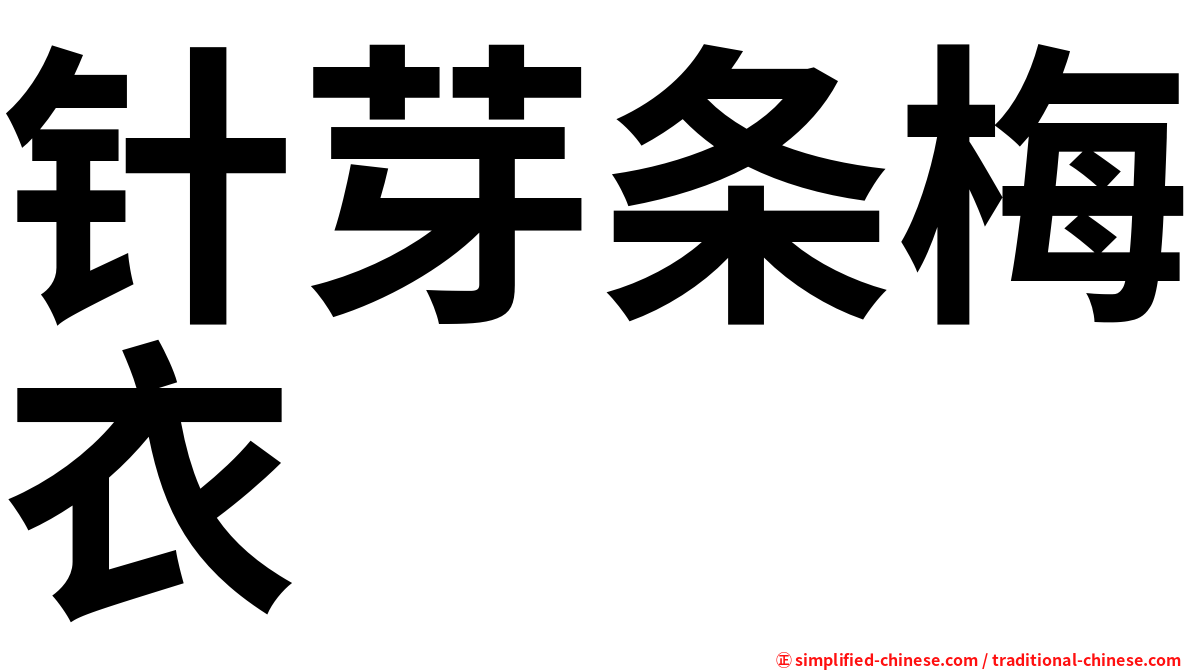 针芽条梅衣