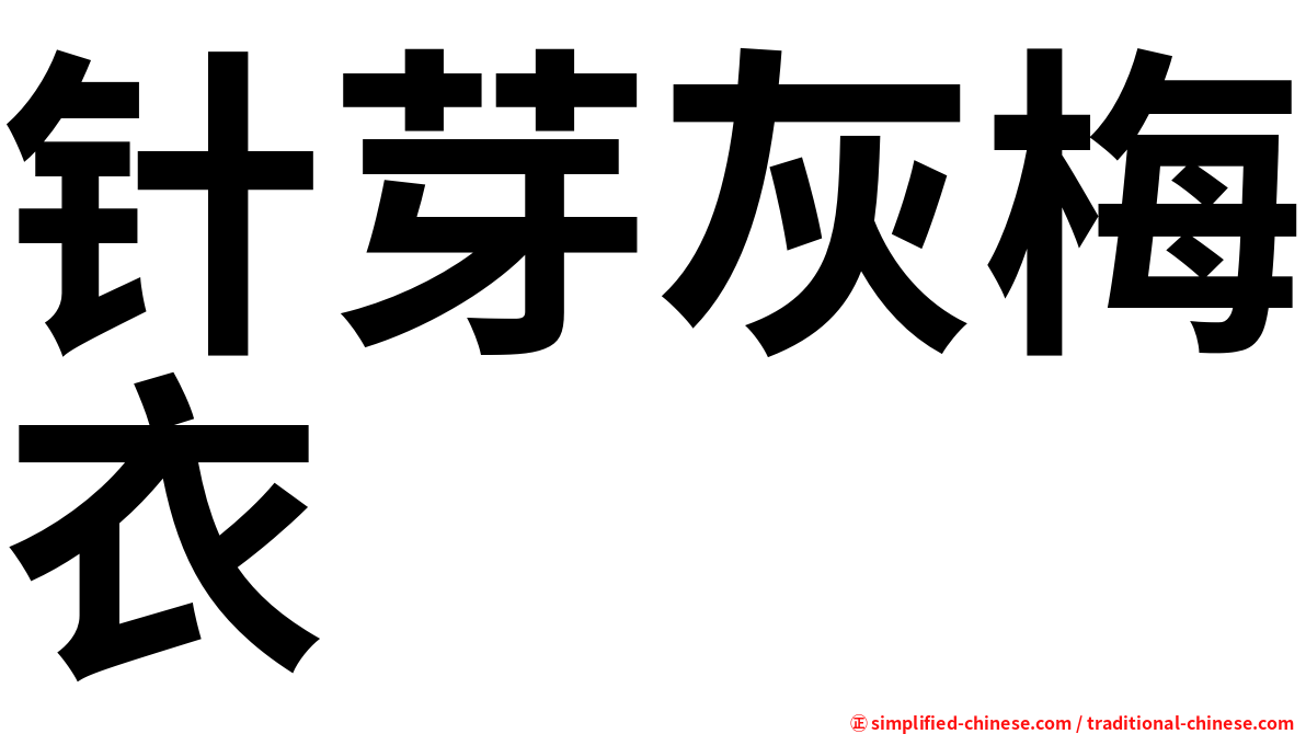 针芽灰梅衣