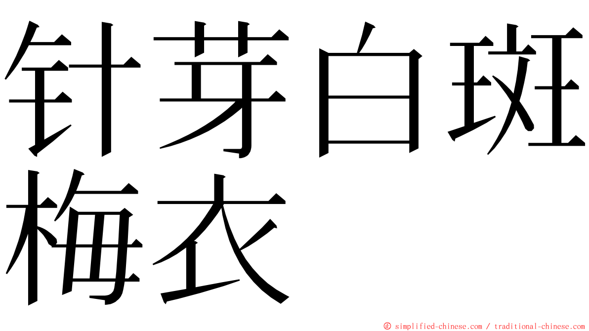 针芽白斑梅衣 ming font
