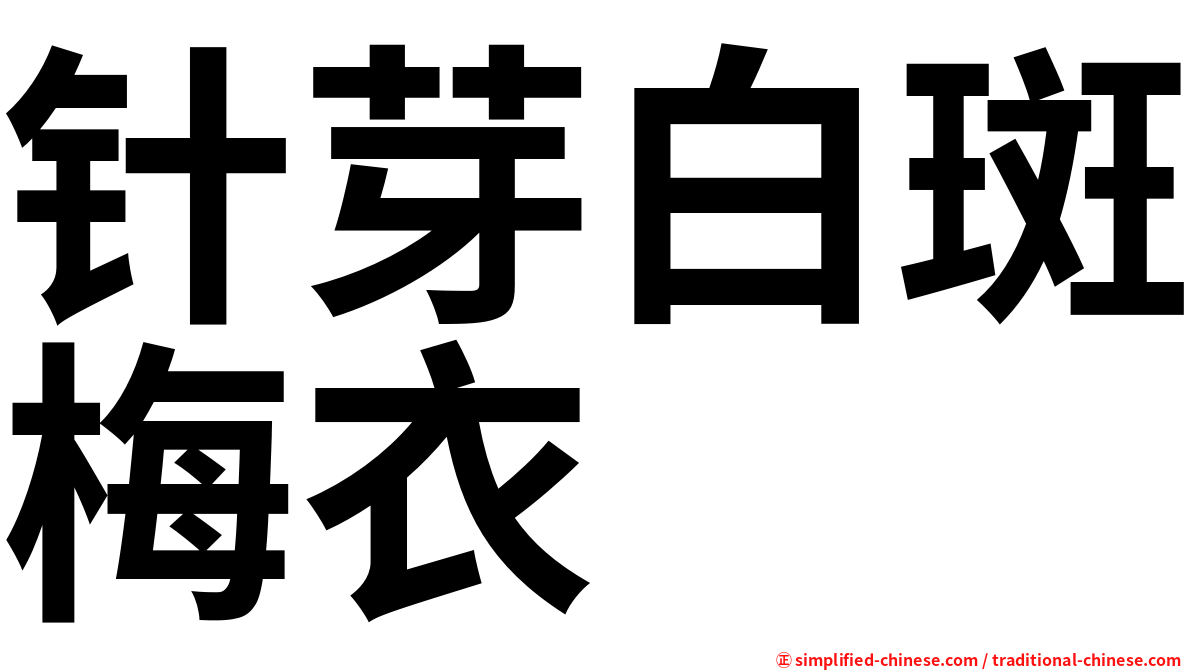 针芽白斑梅衣