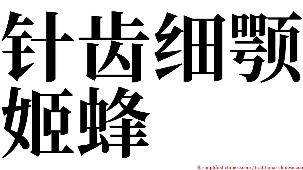 针齿细颚姬蜂 serif font