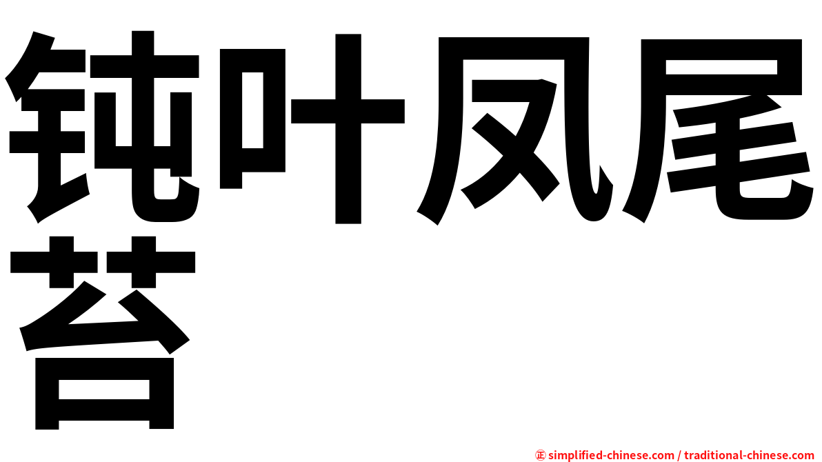 钝叶凤尾苔