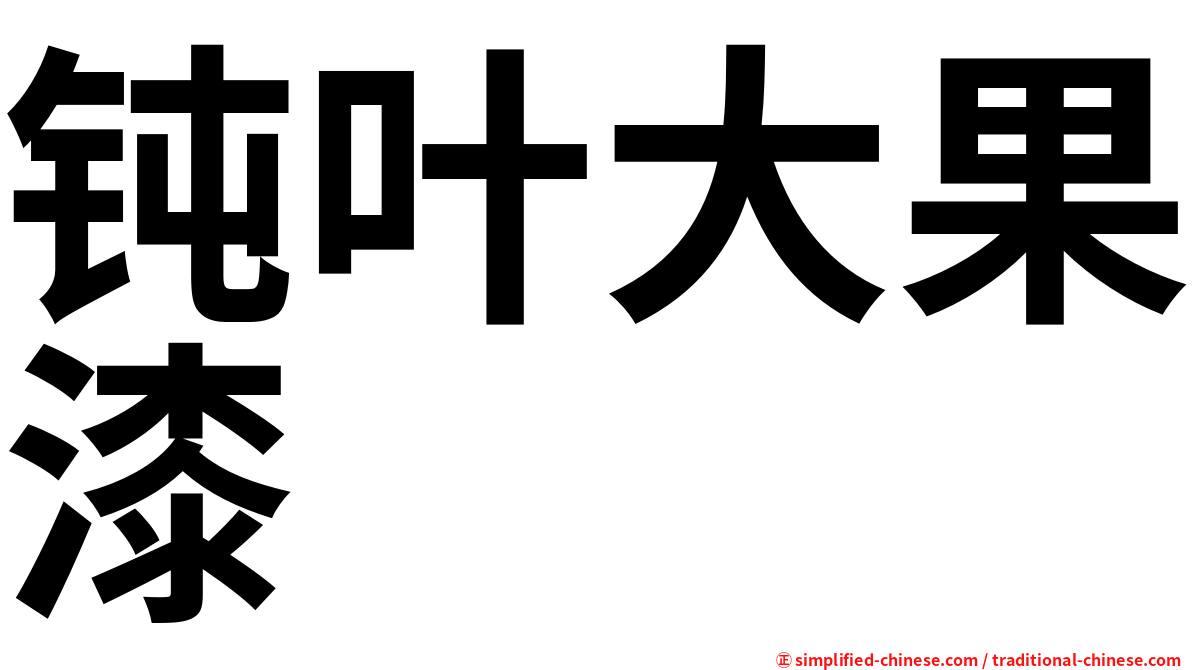 钝叶大果漆